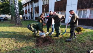 Котор Варош - обиљежен Свјетски дан шума