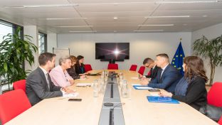 Сарајево - Брисел - Нешић,  Јохансон