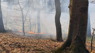 Зворник - пожар у зворничком насељу Горња Трновица