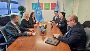 Њујорк - Цвијановић,  Донгју