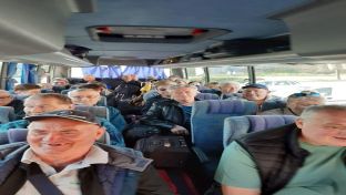 Брод - борачке категорије