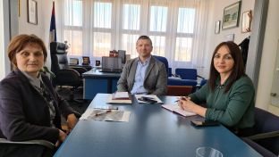 Петрово - Петковић, Катанић и Лазаревић