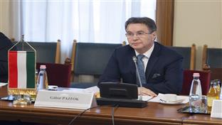 Будимпешта - Пајток, Гутић Бјелица - Парламентарна група пријатељства