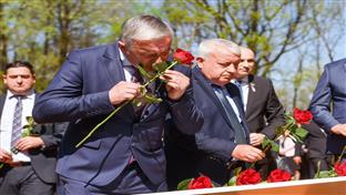 Доња Градина - Бранислав Бореновић