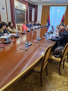 Република Српска - Координационо тијело за сузбијање сиве економије
