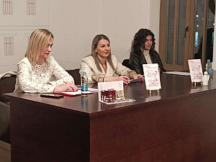 Република Српска - Вишеград - култура