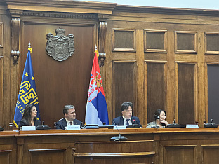 Србија - ЦЕИ - Селаковић