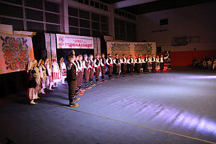 Република Српска - Добој - култура