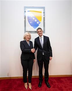 БиХ - САД - Кришто, Флеминг