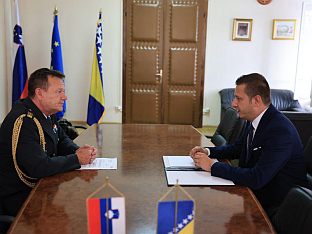 БиХ - Словенија - одбрана