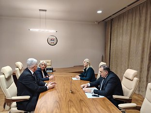 БиХ - политичке партије