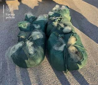 Црна Гора - Управа полиције