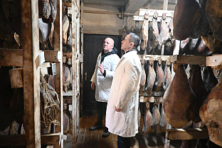 Србија - дијаспора - Милићевић