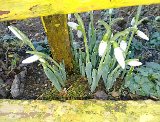 Република Српска - Нови Град - фото-вијест