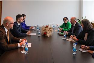 БиХ - САД - Амиџић, Гинкел