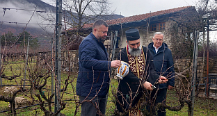 Република Српска - Требиње - виноградарство