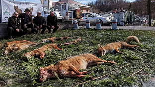 Република Српска - Станари - ловство