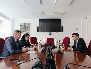 БиХ - Италија - Егрлић, Салво