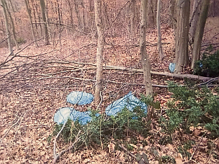 Република Српска - Бијељина - клаонички отпад