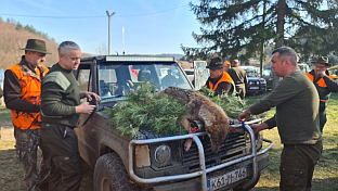 Република Српска - Петрово - ловство