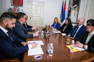 БиХ - Амбасада САД - Гинкел, Кошарац