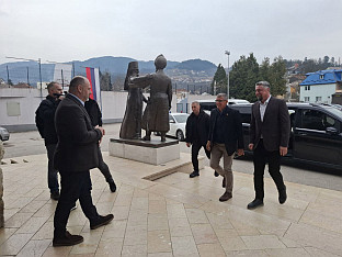 Република Српска - Вишеград - друштво - Флин, Ђуревић