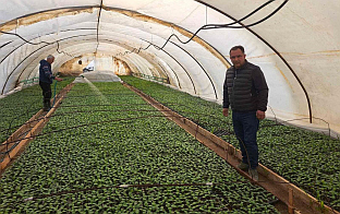 Република Српска - Бијељина - Подручна привредна комора