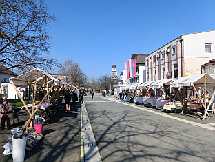 Република Српска - Србац - Туристичка организација