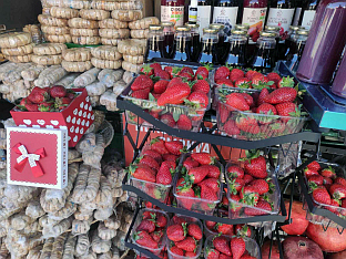 Република Српска - Бањалука - фото-вијест