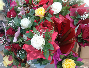 Република Српска - Нови Град - фото-вијест