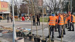 Република Српска - Добој - Градска управа