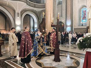 БиХ - Митрополија дабробосанска