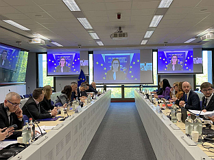 БиХ - Дирекција за европске интеграције