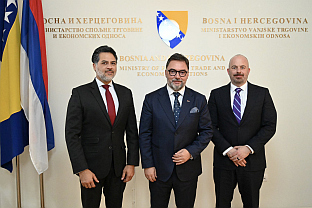 БиХ - САД - енергетика