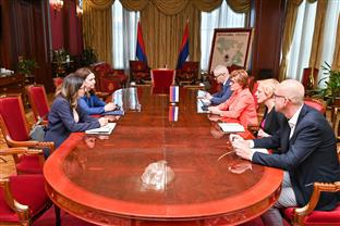 Република Српска - Италија - Видовић, Кастелани