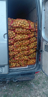 БиХ - Гранична полиција