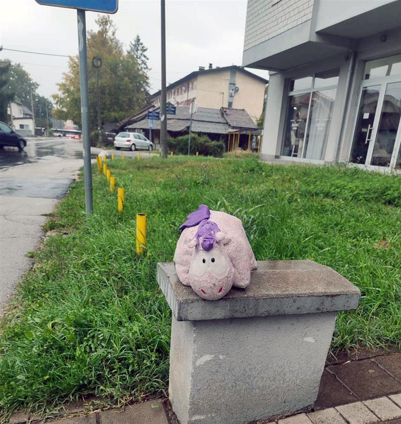 БАЊАЛУКА, 7. ОКТОБРА /СРНА/ - Плишана играчка диносауруса, недавно изгубљена на улици у бањалучком насељу Обилићево и даље кисне, чекајући своју малу власницу.