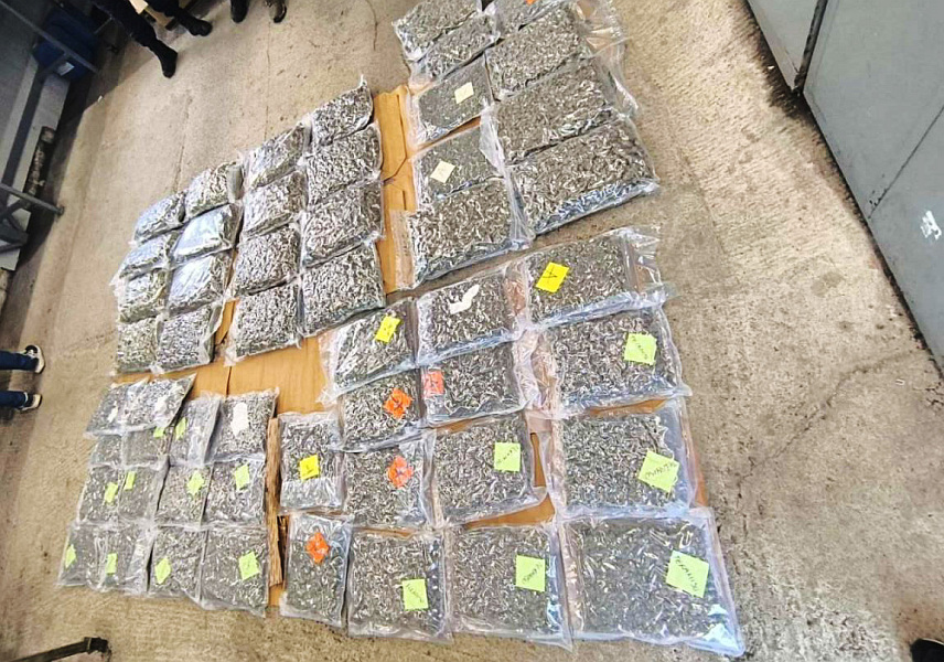 БЕОГРАД, 30. НОВЕМБРА /СРНА/ - Полиција је на граничном прелазу Шид заплијенила више од 43 килограма марихуане, сакривена у камиону, и ухапсила једно лице.	