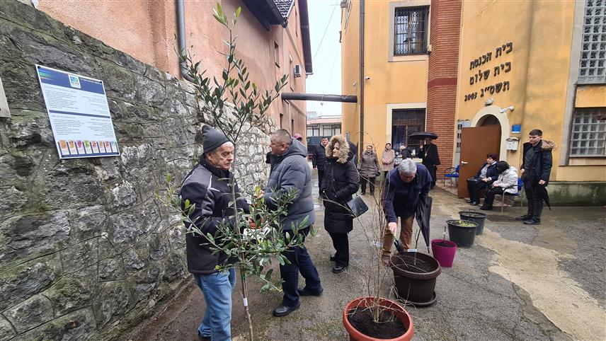 ДОБОЈ, 1. ФЕБРУАРА /СРНА/ - У Јеврејском културном центру у Добоју данас је, поводом јеврејског празника Тубишвата који означава Нову годину дрвећа, симболично посађено седам садница воћа у оквиру такозваног библијског врта у изградњи при објекту овог центра.