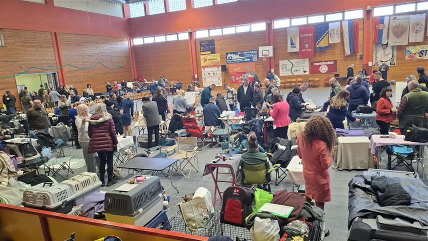 НОВИ ГРАД, 22. ФЕБРУАРА /СРНА/ - У спортској дворани у Новом Граду данас се одржавају двије националне и једна међународна изложба паса из 19 земаља.