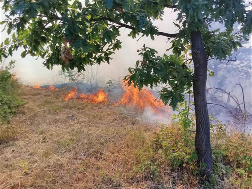 СРЕБРЕНИЦА, 14. МАРТА /СРНА/ - Начелник општине Сребреница Милош Вучић обавијестио је грађане о забрани паљења и ложења ватре на отвореном простору након што је претходних дана изазвано више пожара ниског растиња, корова и шикара на подручју ове локалне заједнице које су ватрогасци успјешно угасили уз велике напоре јер су неки захватили изузетно тежак и неприступачан терен.