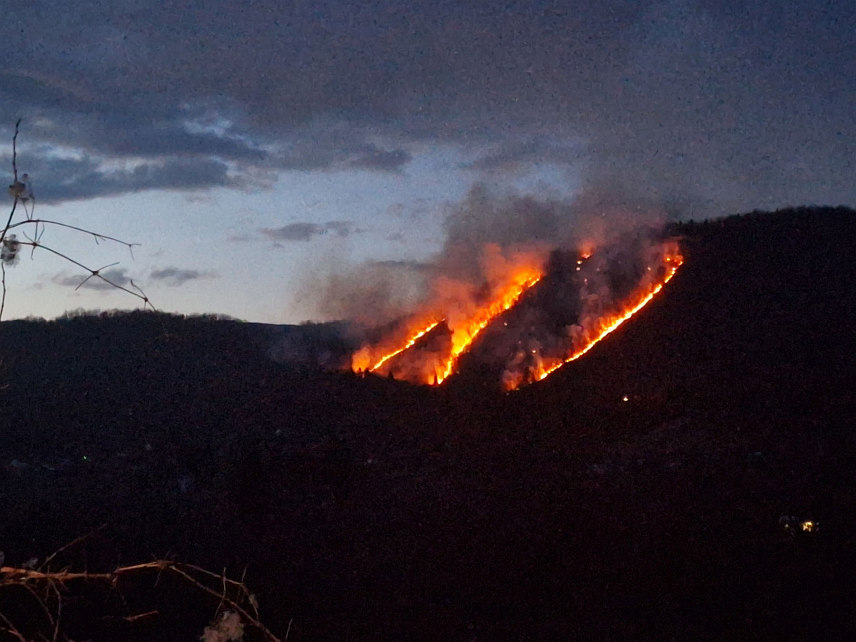 ФОЧА, 14. МАРТА /СРНА/ - На подручју села Мулахасановићи у фочанској мјесној заједници Миљевина ватрогасци гасе пожар који је у послијеподневним часовима захватио шуму и ниско растиње, речено је Срни у Територијалној ватрогасно-спасилачкој јединици Фоча.