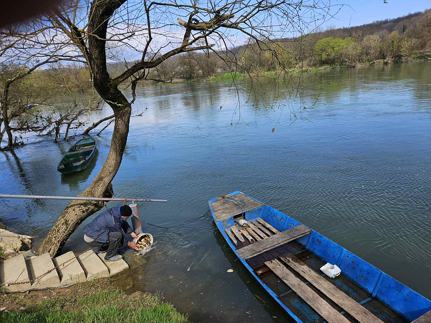 КОСTАЈНИЦА, 21. МАРTА /СРНА/ - Ријека Уна код Костајнице порибљена је са 56 килограма шарана у првој овогодишњој акцији коју је организовало Спортско риболовно удружење "Мрена".