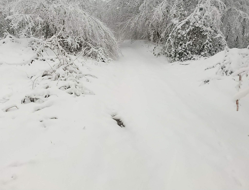 НОВИ ГРАД, 27. МАРТА /СРНА/ - Три далековода на подручју Новог Града јутрос су без напајања електричном енергијом, а снијега има на путевима у вишим предјелима.