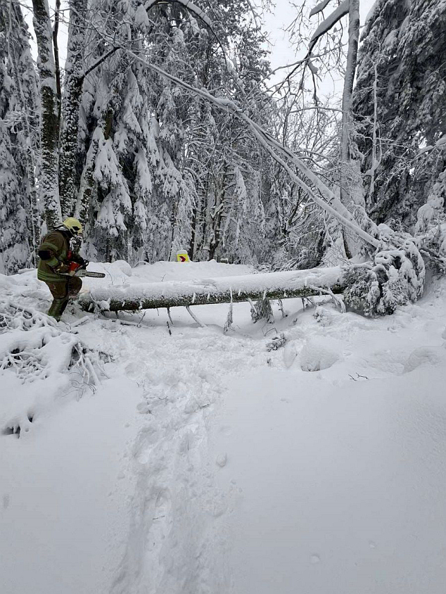 ПРИЈЕДОР, 29. МАРТА /СРНА/ - Пут Козарац–Мраковица привремено је затворен због повећане опасности од урушавања стабала на коловоз усљед обилних сњежних падавина и тежине снијега на стаблима.