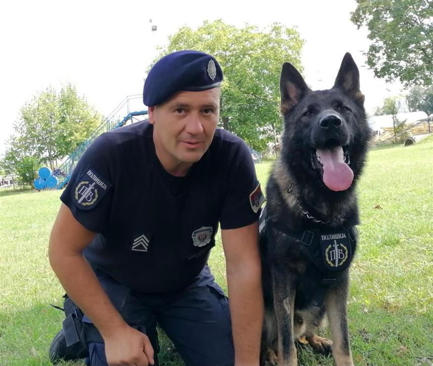 БЕОГРАД, 31. ЈУЛА /СРНА/ - Службени полицијски пас Аки, чији је водич Владан Ковачевић, пронашао је данас у каналу Визељ код Борче кофер са тијелом убијене Рускиње, коју је ликвидирао турски држављанин.
