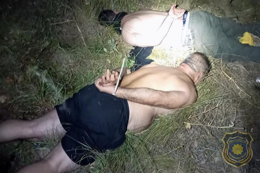 САРАЈЕВО, 29. АВГУСТА /СРНА/ - Плантажа са 117 стабљика канабиса пронађена је на подручју Грабовице код Мостара и ухапшена су два лица, саопштено је из Федералне управе полиције /ФУП/.