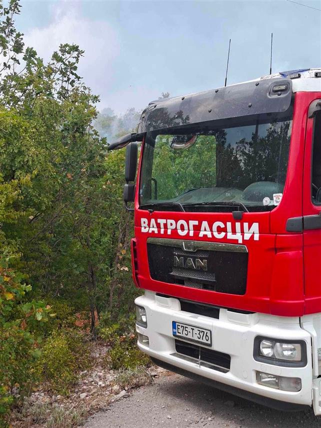 TРЕБИЊЕ, 3. СЕПTЕМБРА /СРНА/ - Пожар у селу Власаче у Требињским брдима је под контролом и не угрожава насеља и објекте, а стабилна је ситуација и на свим осталим пожариштима на подручју града, речено је вечерас Срни у Штабу за ванредне ситуације града Tребиња.