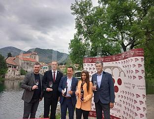 ФЕСTИВАЛ ВИНА 3. МАЈА ОКУПИЋЕ 50 ИЗЛАГАЧА
