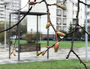 СУТРА НЕСТАБИЛНО УЗ КИШУ И ПЉУСКОВЕ, МОГУЋЕ ЛОКАЛНЕ НЕПОГОДЕ